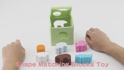 Shape Sorter Toy, Toddler and Baby Sorting and Matching Activity Cube, Colorful Sorter Box, My First Baby Toys Gift for Boys & Girls